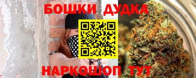 гидра Дубна