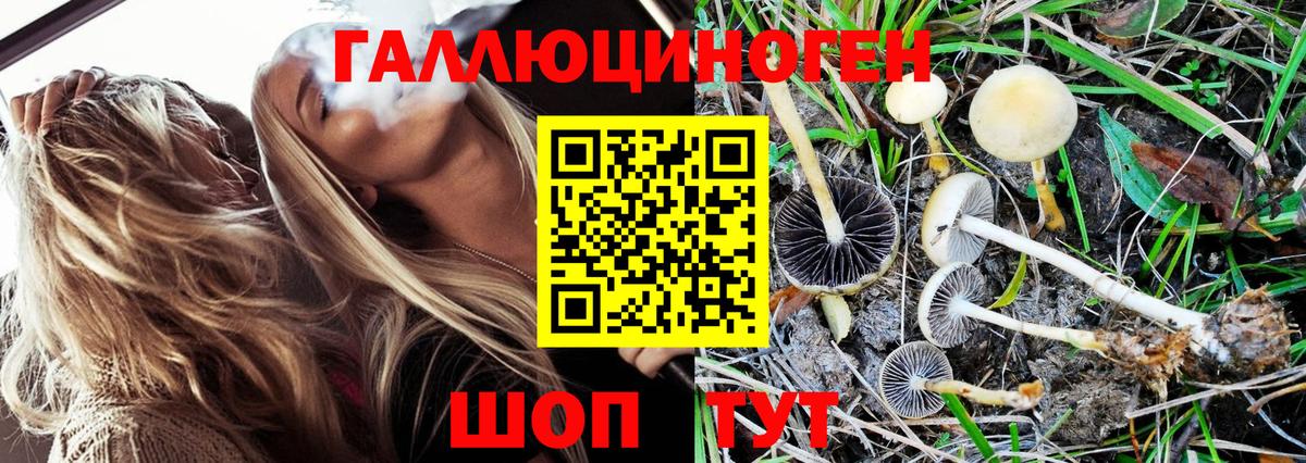 Кулебаки  Галлюциногенные грибы Psilocybine cubensis  Галлюциногенные грибы Psilocybe  купить  сайты  Вход с VPN 
