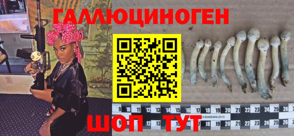 Псилоцибиновые грибы прущие грибы Кулебаки